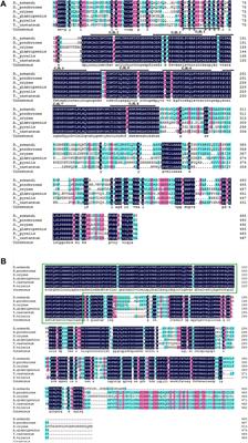 Roles of Krüppel Homolog 1 and Broad-Complex in the Development of Dendroctonus armandi (Coleoptera: Scolytinae)